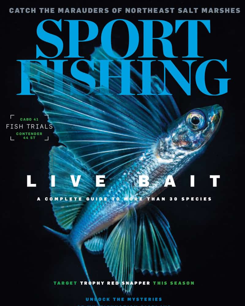 Sport Fishing May 2019