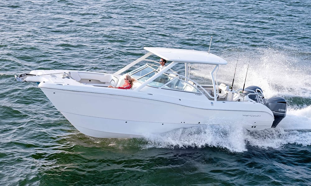 World Cat 296DC